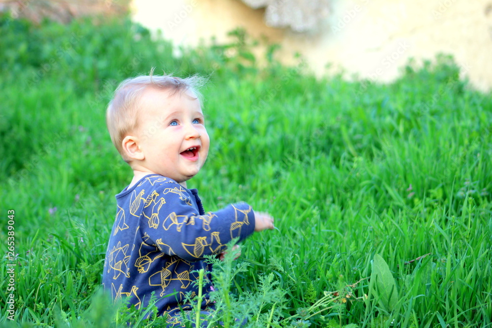 Toddler blond boy on green bright grass on a sunny day, selective focus. Toddler blond boy on green bright grass on a sunny day, selective focus.