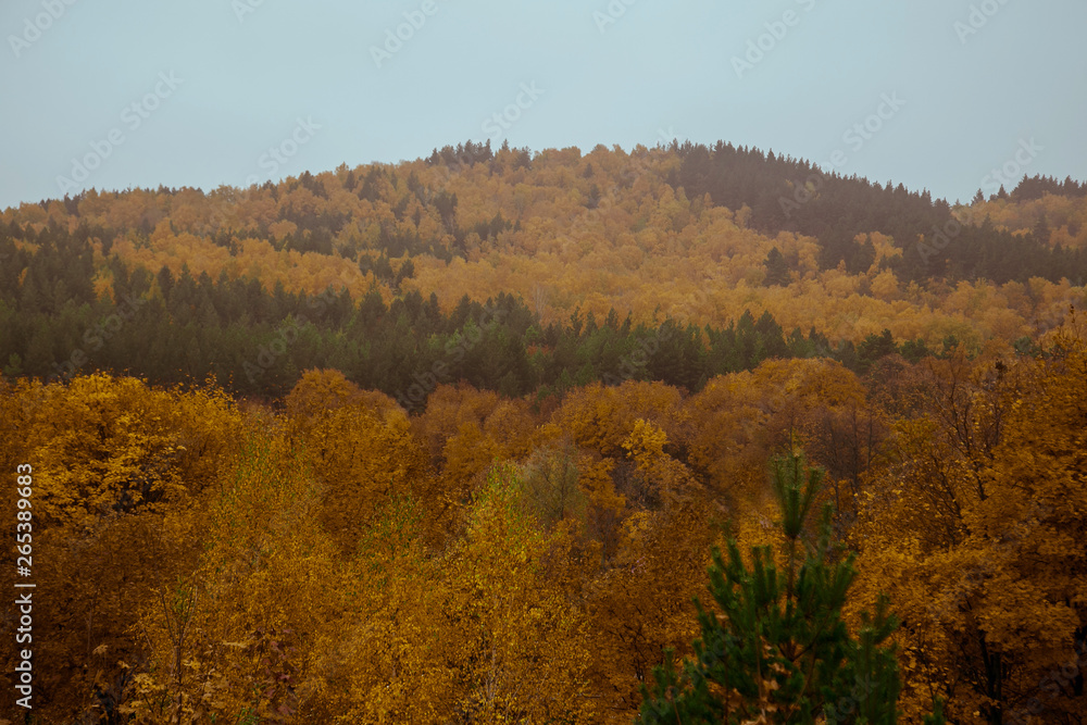 autumn in the mountains