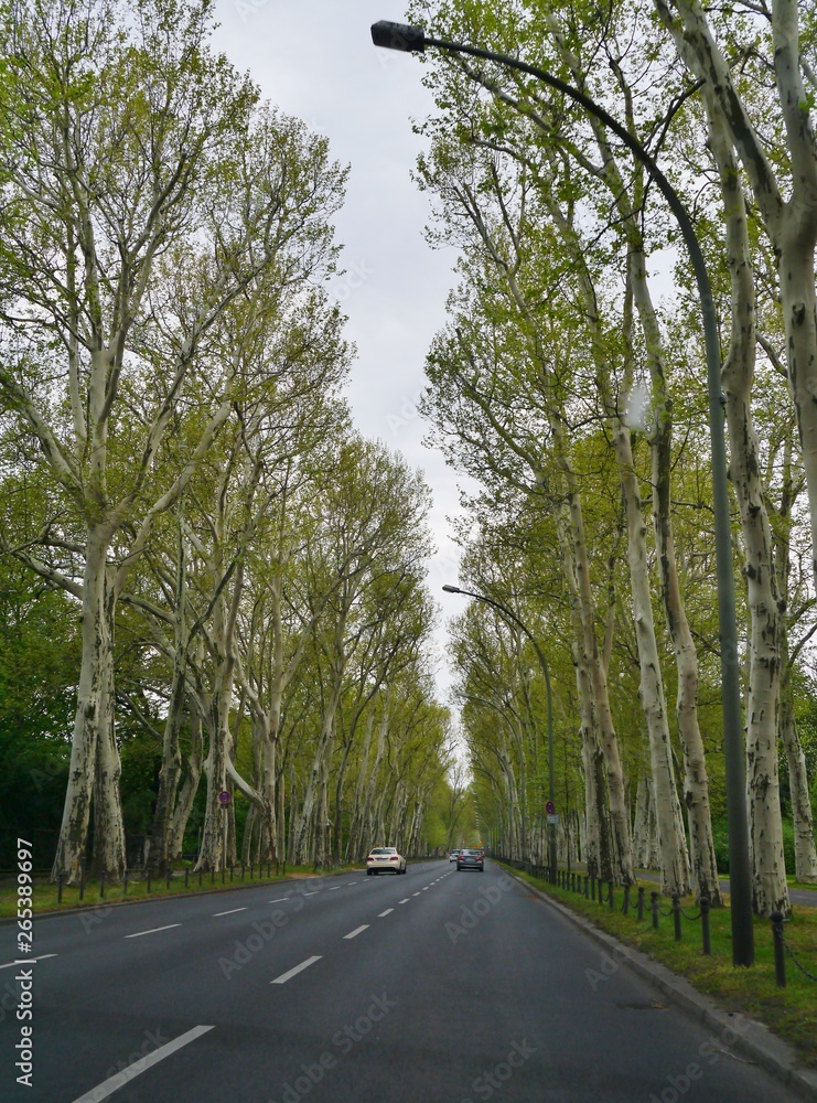 Obraz premium Puschikinallee In Berlin-Treptow