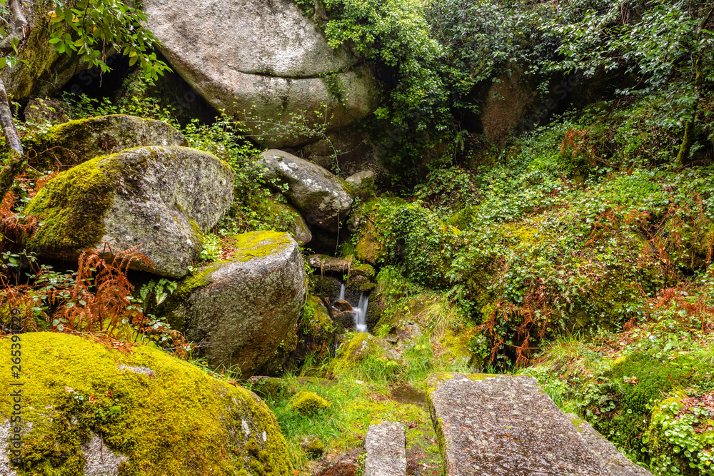 Rocks covered by green moss in the Peneda geres National Park forest, north of Portugal Rocks covered by green moss in the Peneda geres National Park forest, north of Portugal