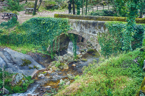 Old rock bridge that crosses a stream in the middle of the vegetation