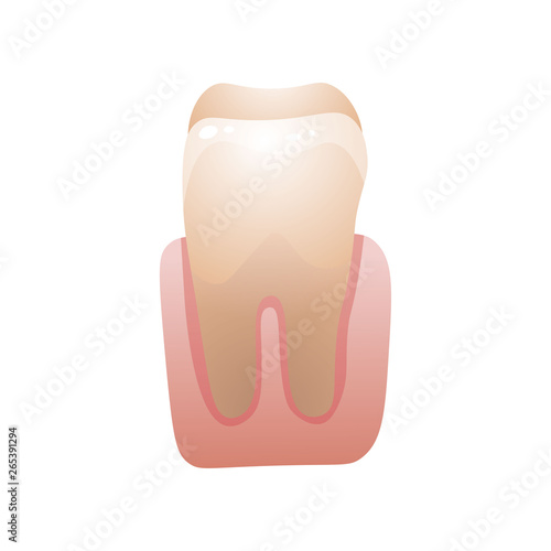 Fototapeta Naklejka Na Ścianę i Meble -  Yellow white tooth with dental stone, ready for medical