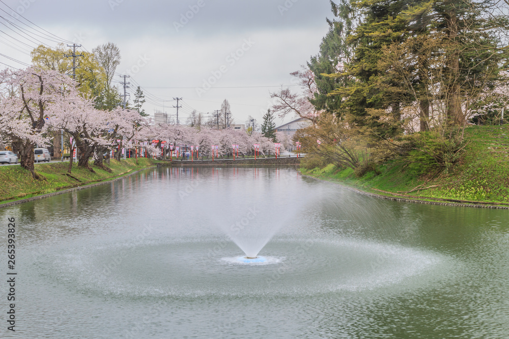 春の新庄城跡の風景