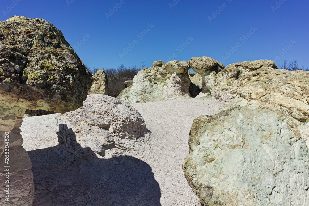 Landscape with Rock formation The Stone Mushrooms near Beli plast village, Kardzhali Region, Bulgaria Landscape with Rock formation The Stone Mushrooms near Beli plast village, Kardzhali Region, Bulgaria