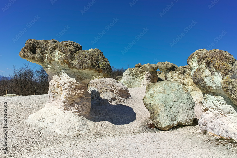 Landscape with Rock formation The Stone Mushrooms near Beli plast village, Kardzhali Region, Bulgaria