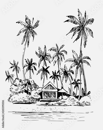 Tropical landscape with palm trees and bungalow. Hand drawn outline converted to vector