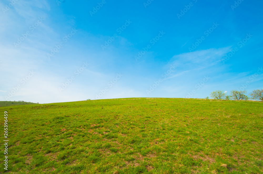  Green field and blue sky 