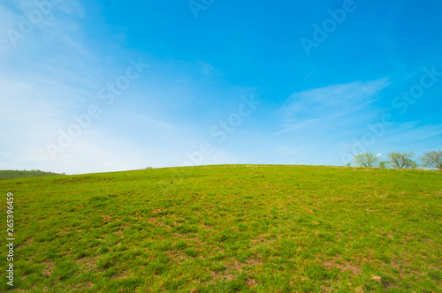  Green field and blue sky 