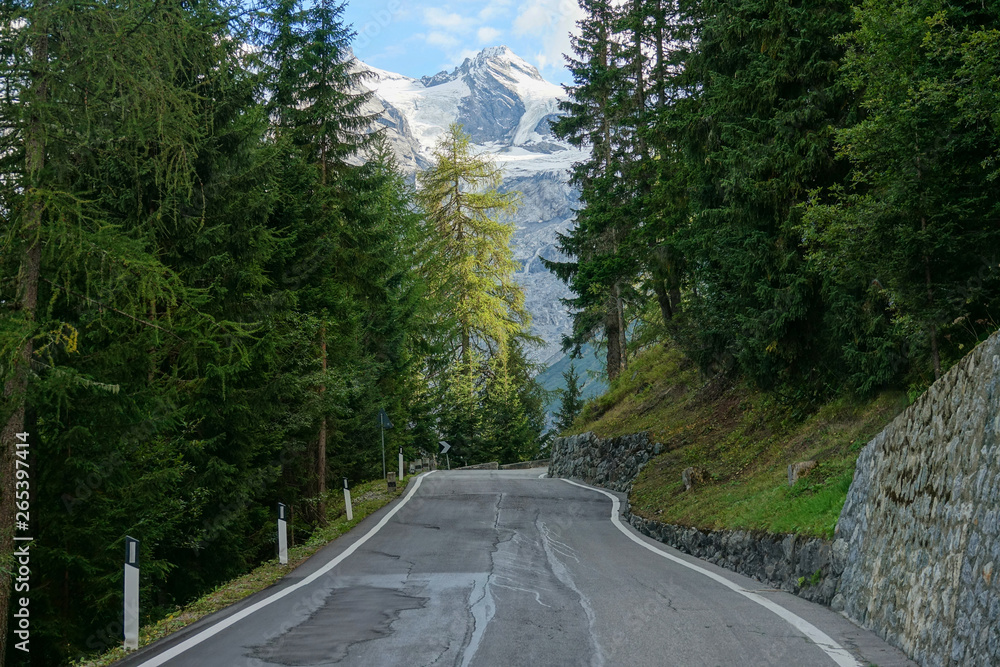 Bumpy concrete road crosses the quiet green forest with a view of the mountains. Bumpy concrete road crosses the quiet green forest with a view of the mountains.