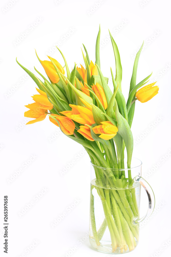 yellow tulips isolated on white background.