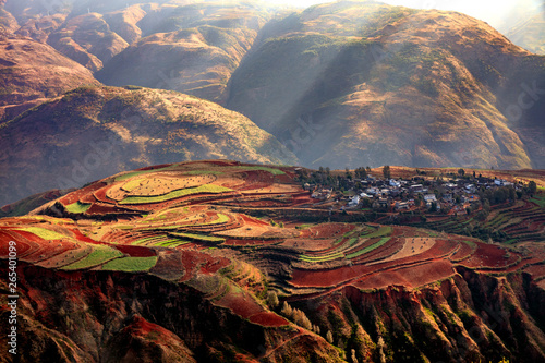 Dongchuan Colored Red Earth Terraces - Red Soil, Green Grass, Layered Terraces in Yunnan Province, China. Chinese Countryside, Agriculture, Exotic Unique Landscape. Farmland, Agriculture
