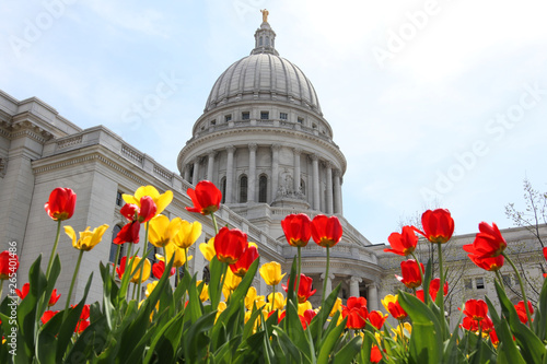 Принти на полотні Wisconsin State Capitol building spring view with flower bed with bright tulips on a foreground