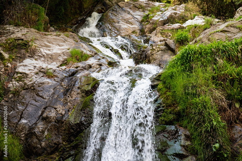 Fudo waterfall in the forest at Sionoe town ,Shikoku,Japan