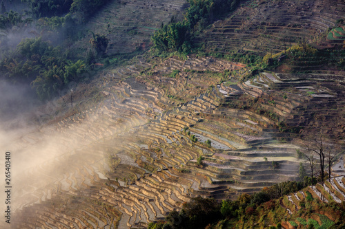 Samaba Rice Terrace Fields in Honghe County - Baohua township, Yunnan Province China. Sama Dam Multi-Color Terraces - grass, mud construction layered terraces filled with water. Hani and Yi Culture