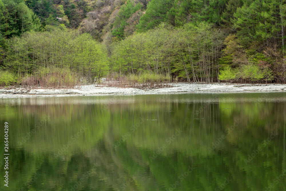 湖に映る春色の山