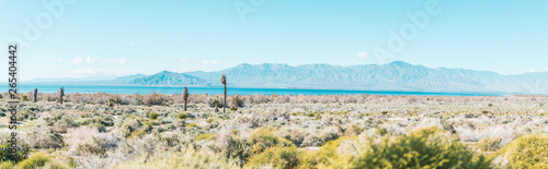 Panorama of Palm Springs Salton Sea photo