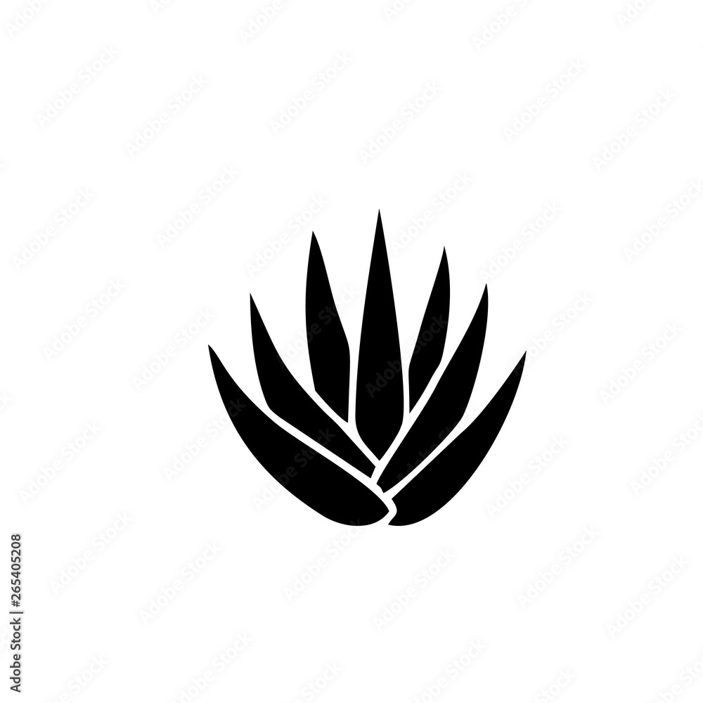 Aloe vera plant icon Aloe vera plant icon