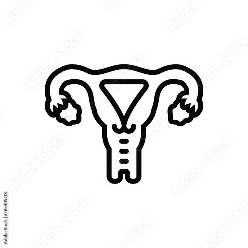 Black line icon for uterus ovary