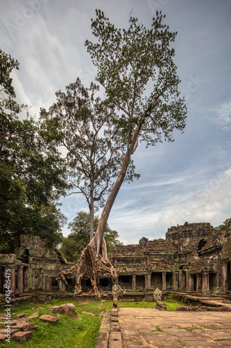 Siem Rap, Cambodia, September 7th 2018 : Strangler fig tree growing on top of the wall at Preah Khan temple ruins at Angkor, Siem Reap, Cambodia