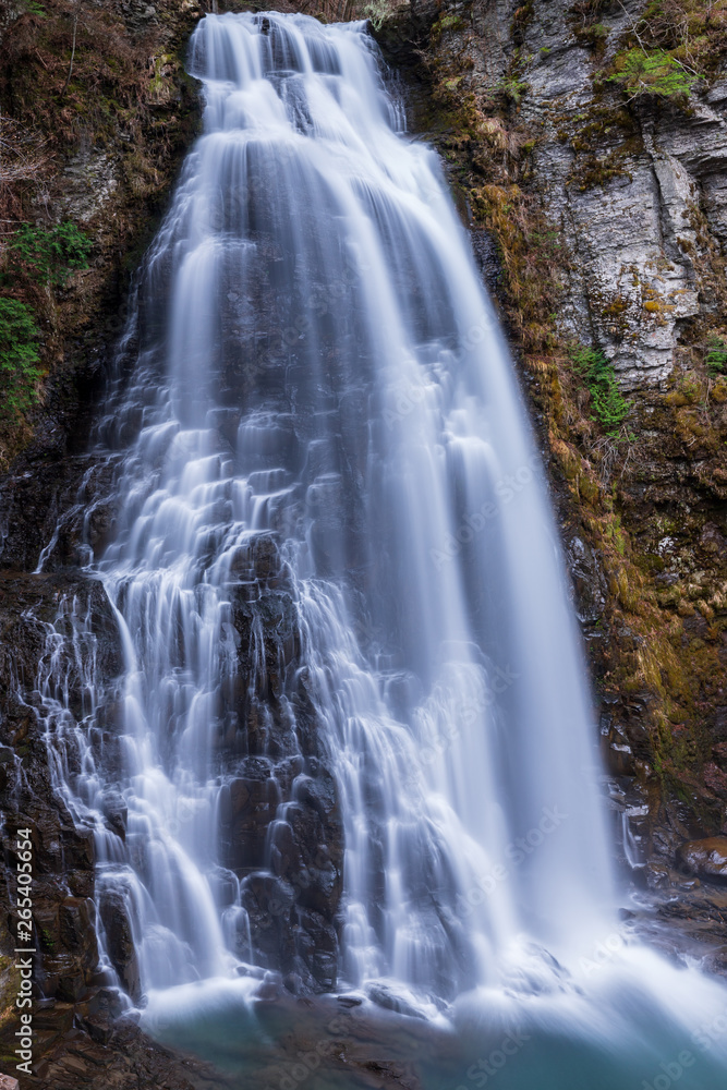 Fototapeta premium 滝