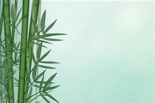 Bamboo tree background