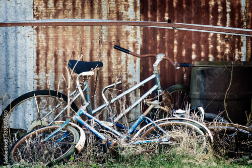 Vintage bike abandoned by steel wall; Old rusted bikes resting among tall grass