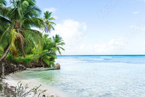 Fototapeta Naklejka Na Ścianę i Meble -  White sandy beach with sea and palms