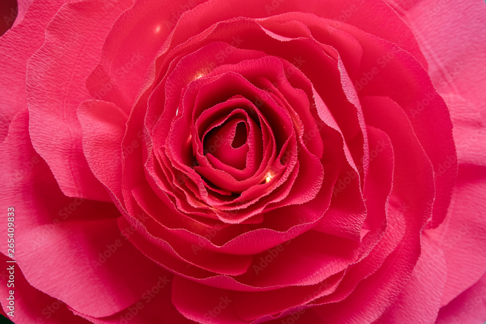 Beautiful Paper made of carnations, flower isolated Beautiful Paper made of carnations, flower isolated