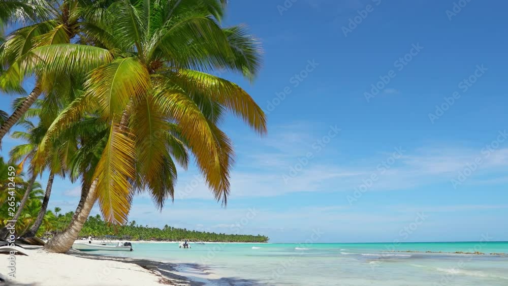 Sunny day and sunny beach landscape Sunny day and sunny beach landscape