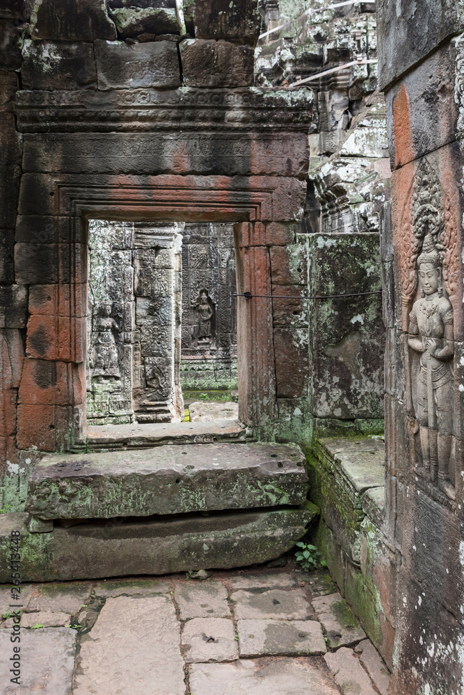 View of the Ta Prohm temple ruins in Siem Reap, Cambodia