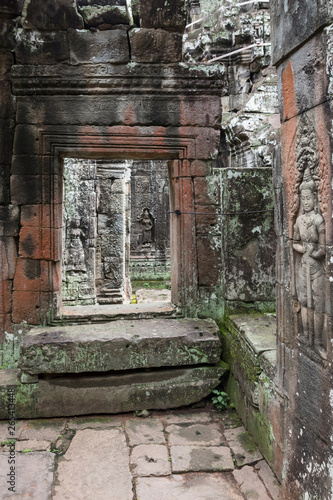 View of the Ta Prohm temple ruins in Siem Reap  Cambodia