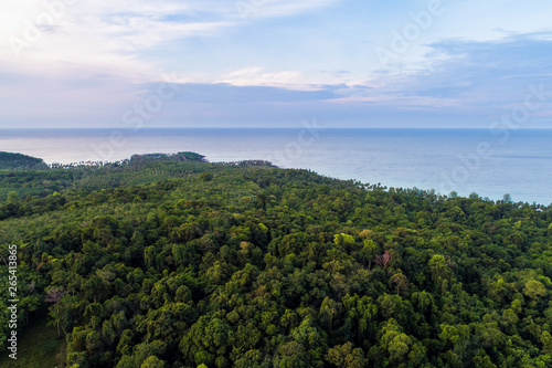 Aerial view sea island with tree forest on mountain © themorningglory