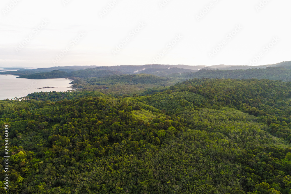 Aerial view sea island with tree forest on mountain