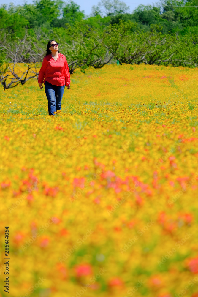 Spring flowers carpet in Texas Austin colorful blooming blossom farm travel lady walking Spring flowers carpet in Texas Austin colorful blooming blossom farm travel lady walking