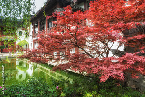 Canvas Print Pond and red maple leafs in Shanghai Confucian Temple. China.