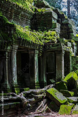 View of the moss covered Ta Prohm temple ruins in Siem Reap  Cambodia