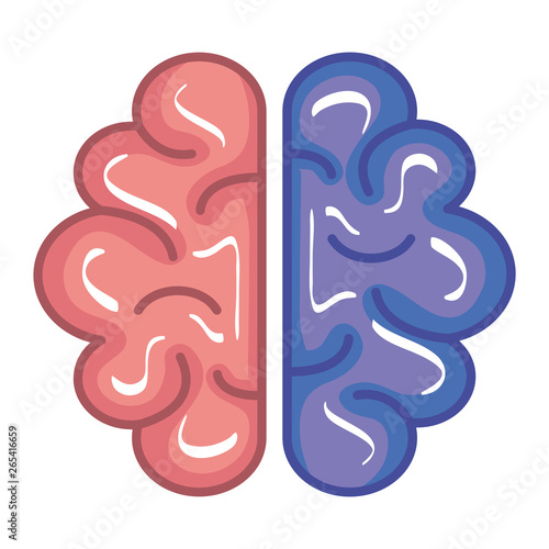 brain human organ icon