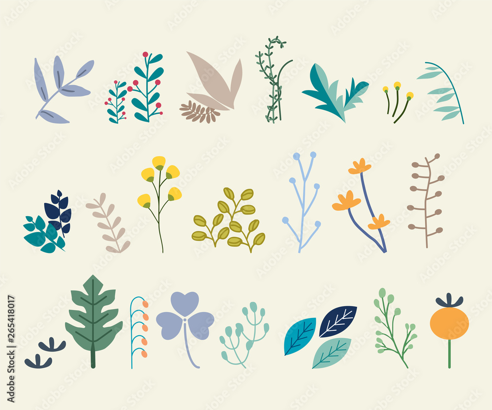 Obraz premium Set of abstract leaves. Vector design elements
