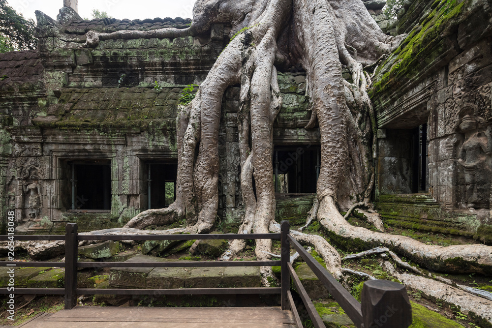 The famous Strangler fig tree growing on the ruins of Ta Prohm temple, Siem Reap, Cambodia The famous Strangler fig tree growing on the ruins of Ta Prohm temple, Siem Reap, Cambodia