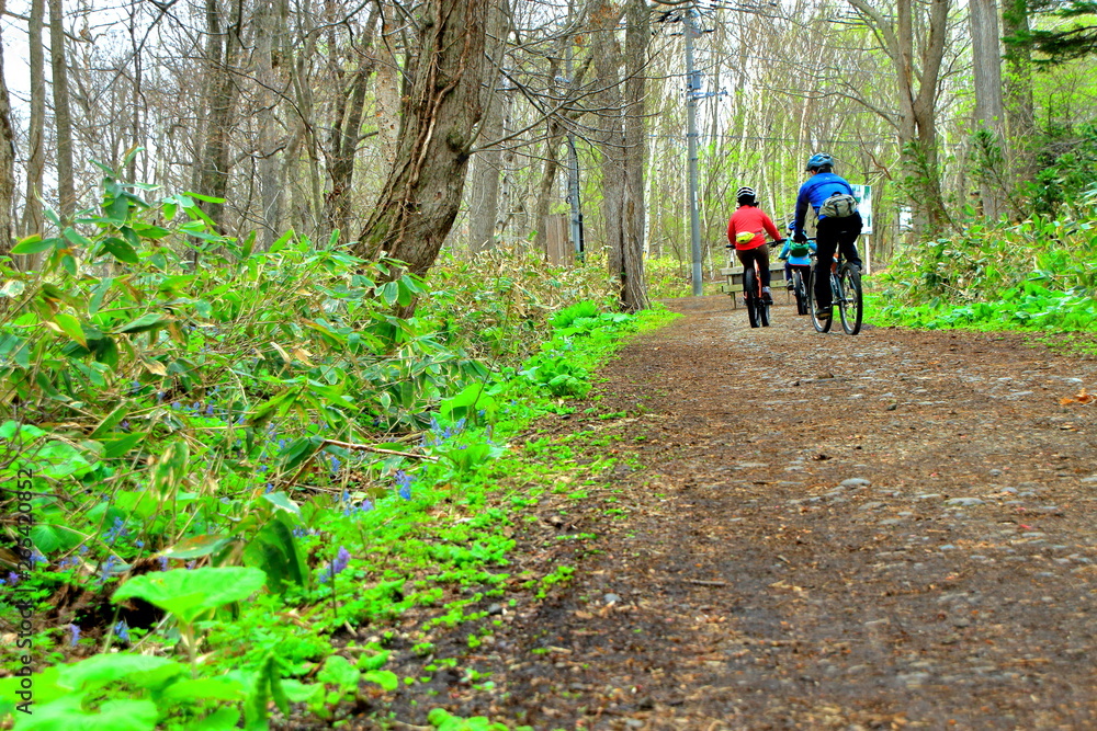 Obraz premium 札幌市野幌森林公園を散歩する市民の風景