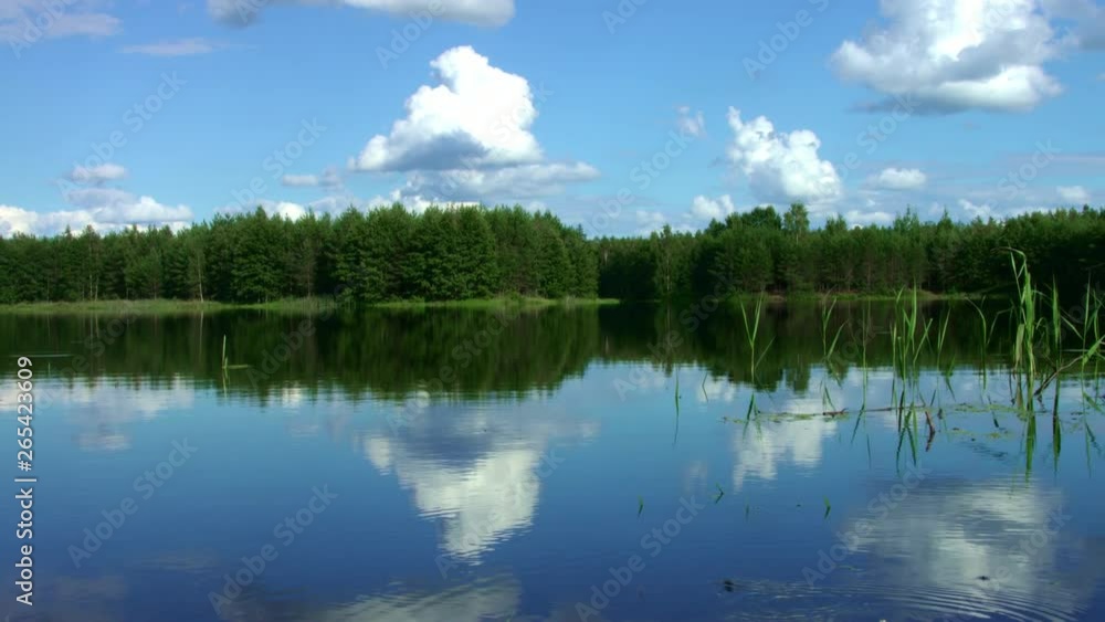 Beautiful forest lake with calm water in pine forest. Wonderful landscape Beautiful forest lake with calm water in pine forest. Wonderful landscape
