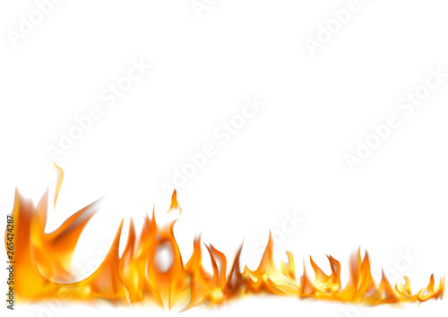 Realistic Fire Flames on White Background - Detailed Illustration for Your Graphic Projects, Vector