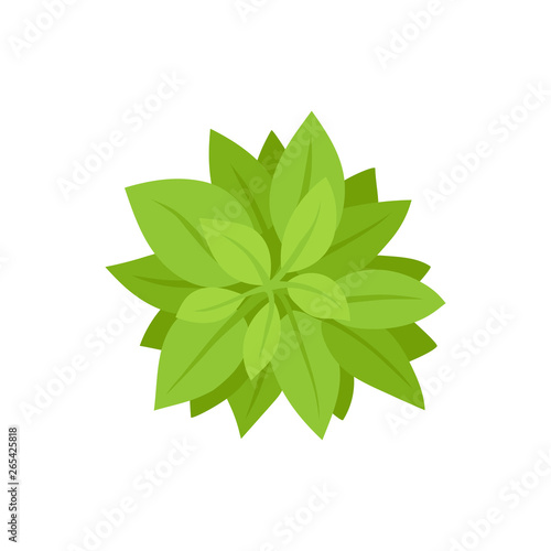Green bush. View from above. Vector illustration.