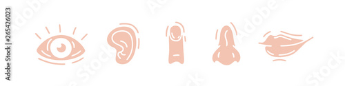 Five human senses icons set. Vision, hearing, touch, smell and taste. Eye, ear, hand, finger, nose and mouth. Cute simple modern design. Symbols and logos. Flat style vector illustration.