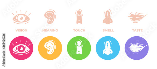 Five human senses icons set. Vision, hearing, touch, smell and taste. Eye, ear, hand, finger, nose and mouth. Cute simple modern design. Symbols and logos. Flat style vector illustration.