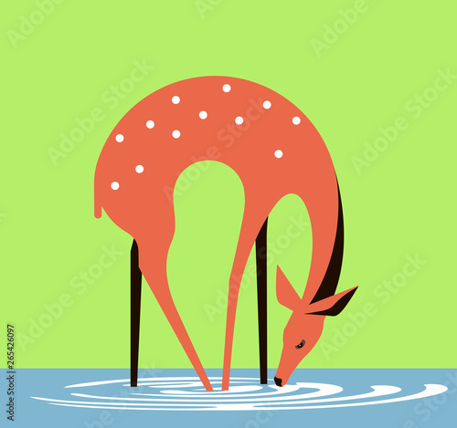 Doe at a watering place