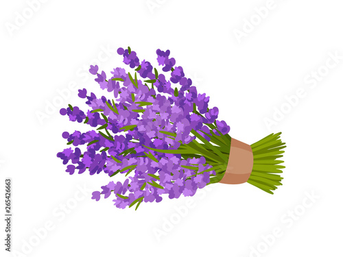 Bouquet of flowers tied a wide ribbon. Vector illustration