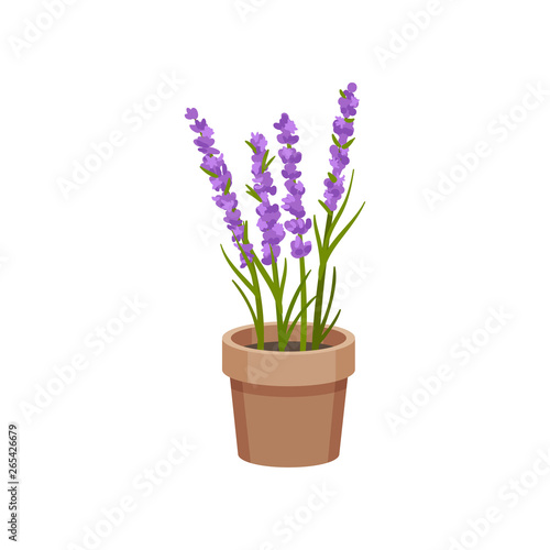 Flowers grow in a clay pot. Vector illustration.