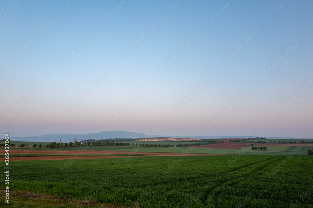 morning light over green field