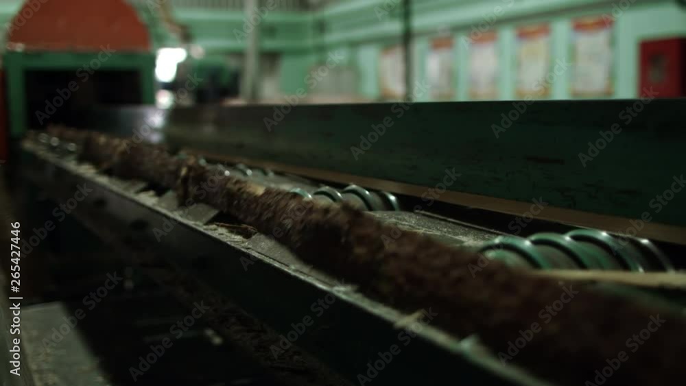 Band sawmill. Automated production line for sawing logs. Line for woodworking Band sawmill. Automated production line for sawing logs. Line for woodworking